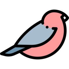 Bullfinch