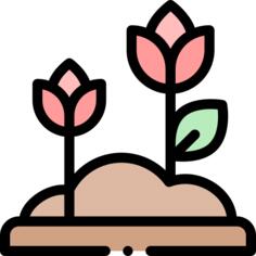 花卉
