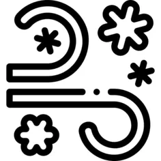 Snow