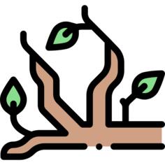 科