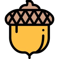 Acorn