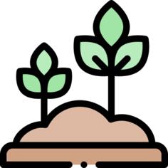 豆芽