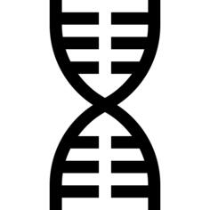 Dna