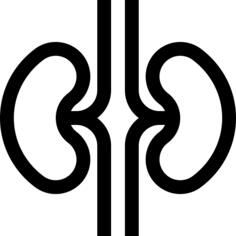 Kidneys