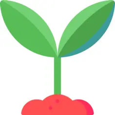 成长性