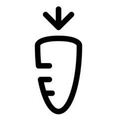 Carrots