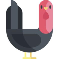 Turkey