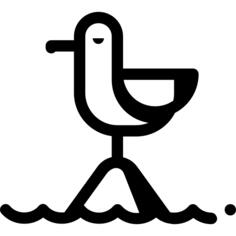 海鸥