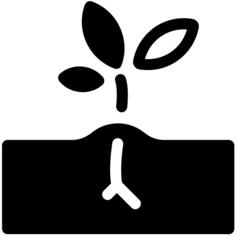 Sprout