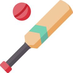 Cricket