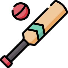 Cricket