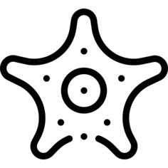 海星