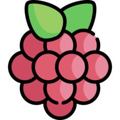 Berry