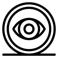 Eye
