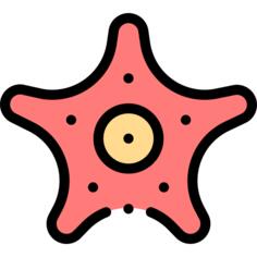 海星