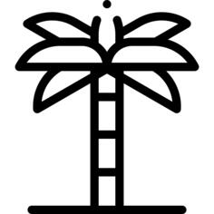 Palm tree