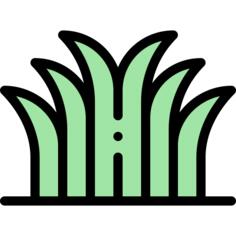 草