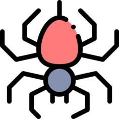 Spider