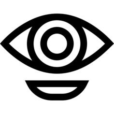 Bionic eye