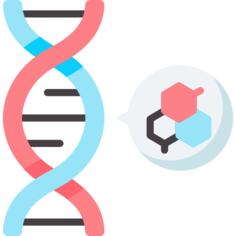 脱氧核糖核酸