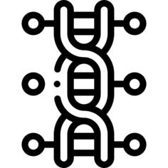 脱氧核糖核酸