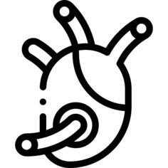 心
