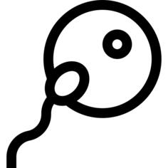 Reproductive