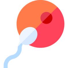 Reproductive