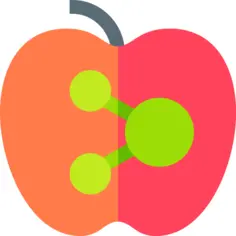 转基因食品