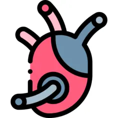 心