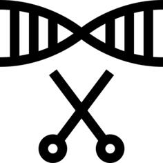 脱氧核糖核酸
