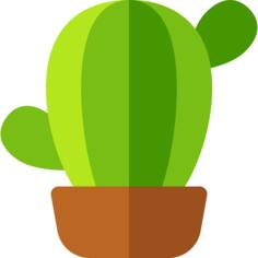 仙人掌