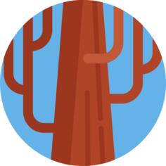 树