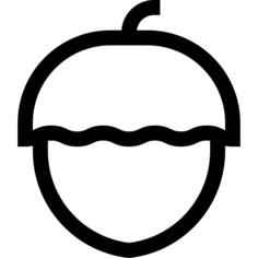 Acorn