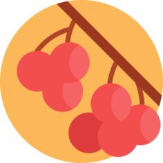 Berry