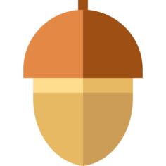 Acorn