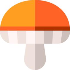 蘑菇