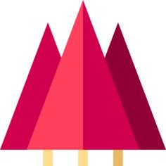 Pine