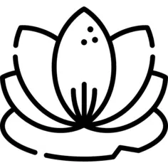 莲花