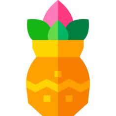 Kalasha