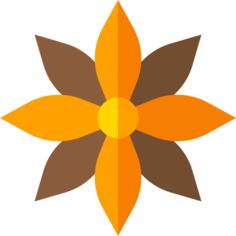 Anise