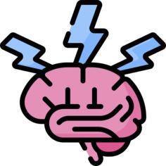 Brain