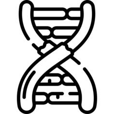 突变