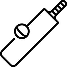 Cricket
