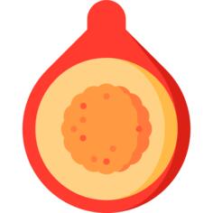 Quandong