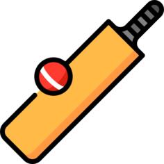 Cricket