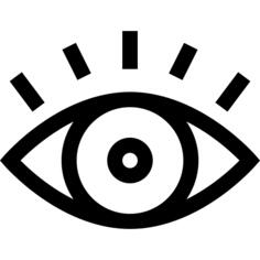 Eye