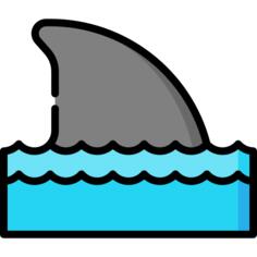 Shark