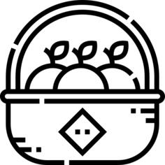 橘子