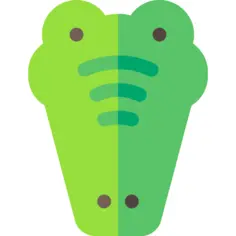 Crocodile